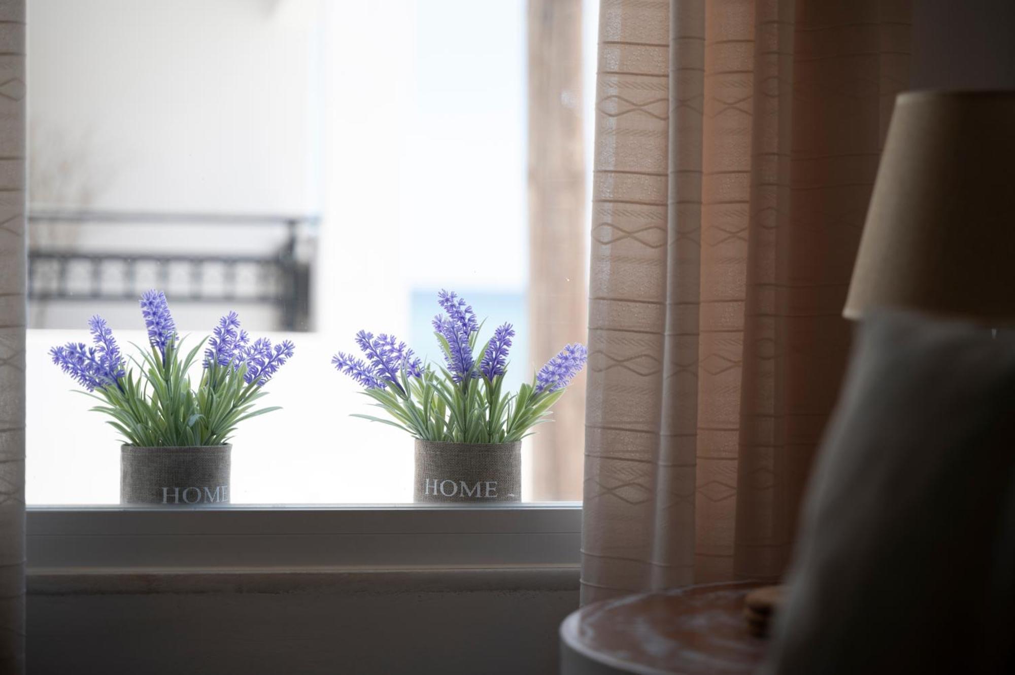 Turtle Cove Cottage, Beachfront Apartamento